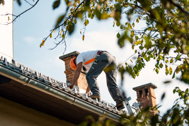 Best Slate Roofing Contractor  in Stevensville, MD