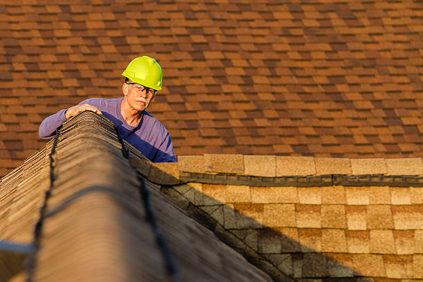 Best Metal Roofing Contractor  in Stevensville, MD